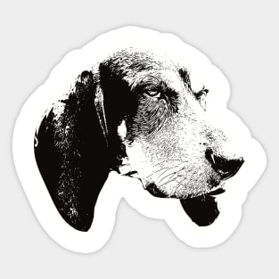 Blue Tick Coonhound gift for Coonhound Owners Sticker